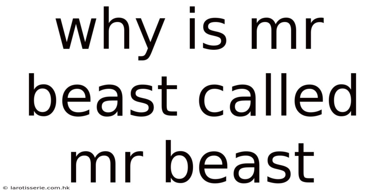 Why Is Mr Beast Called Mr Beast