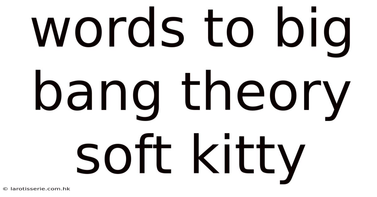 Words To Big Bang Theory Soft Kitty